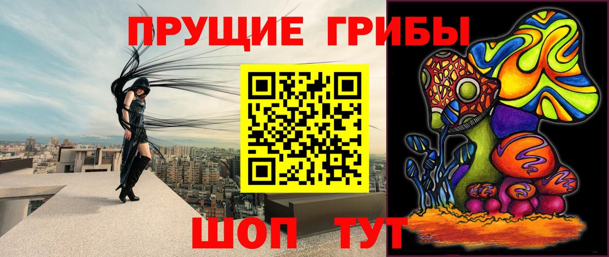 Галлюциногенные грибы Magic Shrooms  где купить наркоту  Брянск  Вход с VPN 