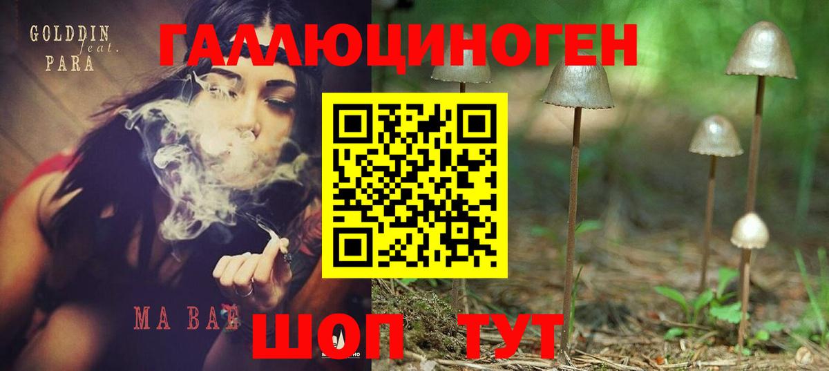 Псилоцибиновые грибы GOLDEN TEACHER Брянск